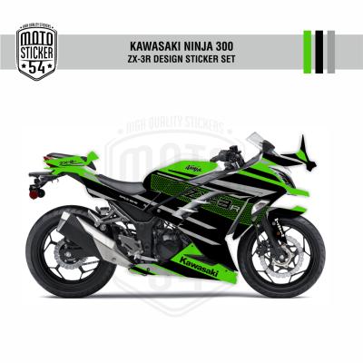 Kawasaki Ninja 300 ZX-3R Design Görsel 7.png
