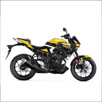 MT 25 RG DESIGN 2