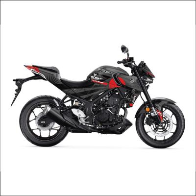 MT 25 RG DESIGN 3