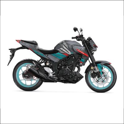 MT 25 RG DESIGN 7