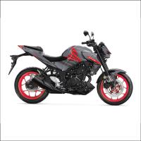 MT 25 RG DESIGN 12