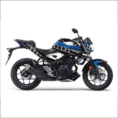 MT 25 RG DESIGN 6