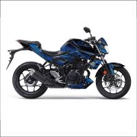 MT 25 RG DESIGN 7