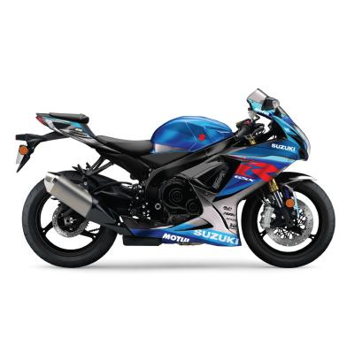 SUZUKİ GSX-8S RG DESIGN 9