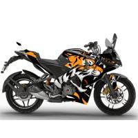 TIGER DESEN 2