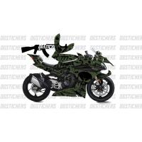 450 SR PUNISHER DESIGN