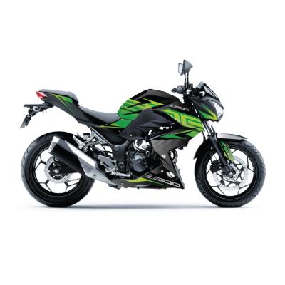 KAWASAKİ Z 300 - MODEL 2